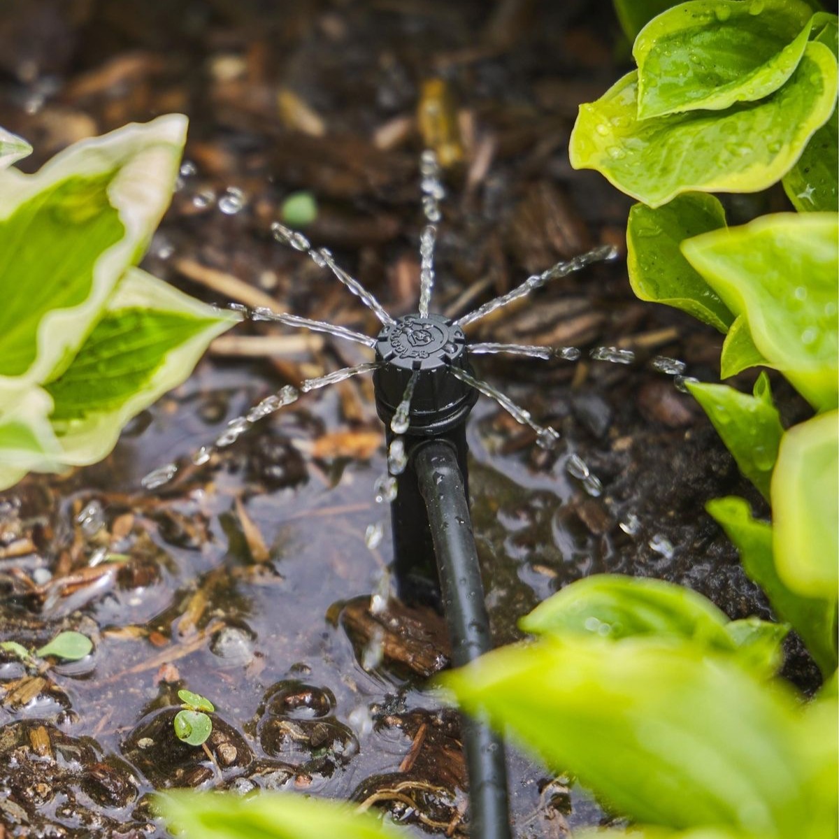 Irrigation Pipes